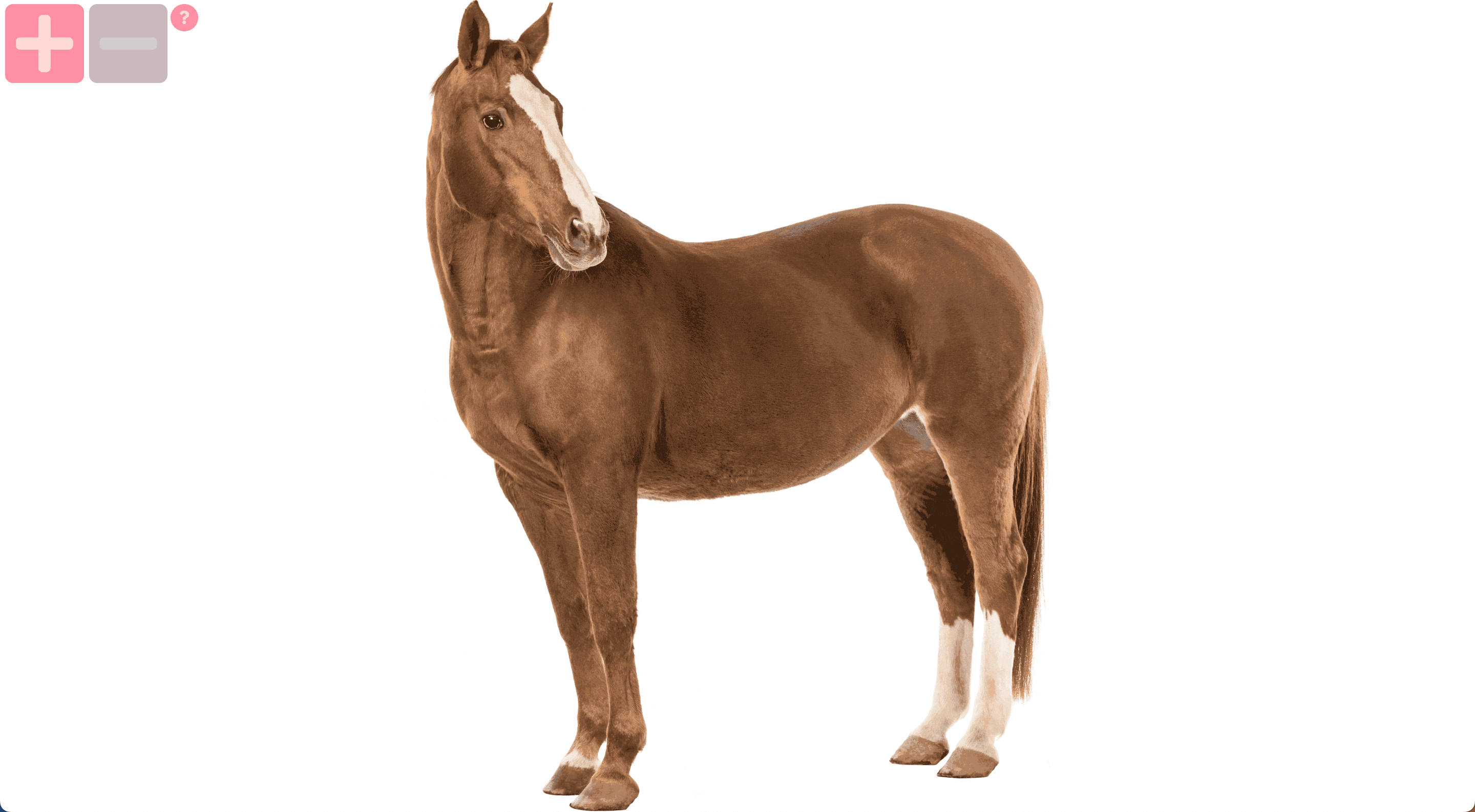 featured image for large.horse