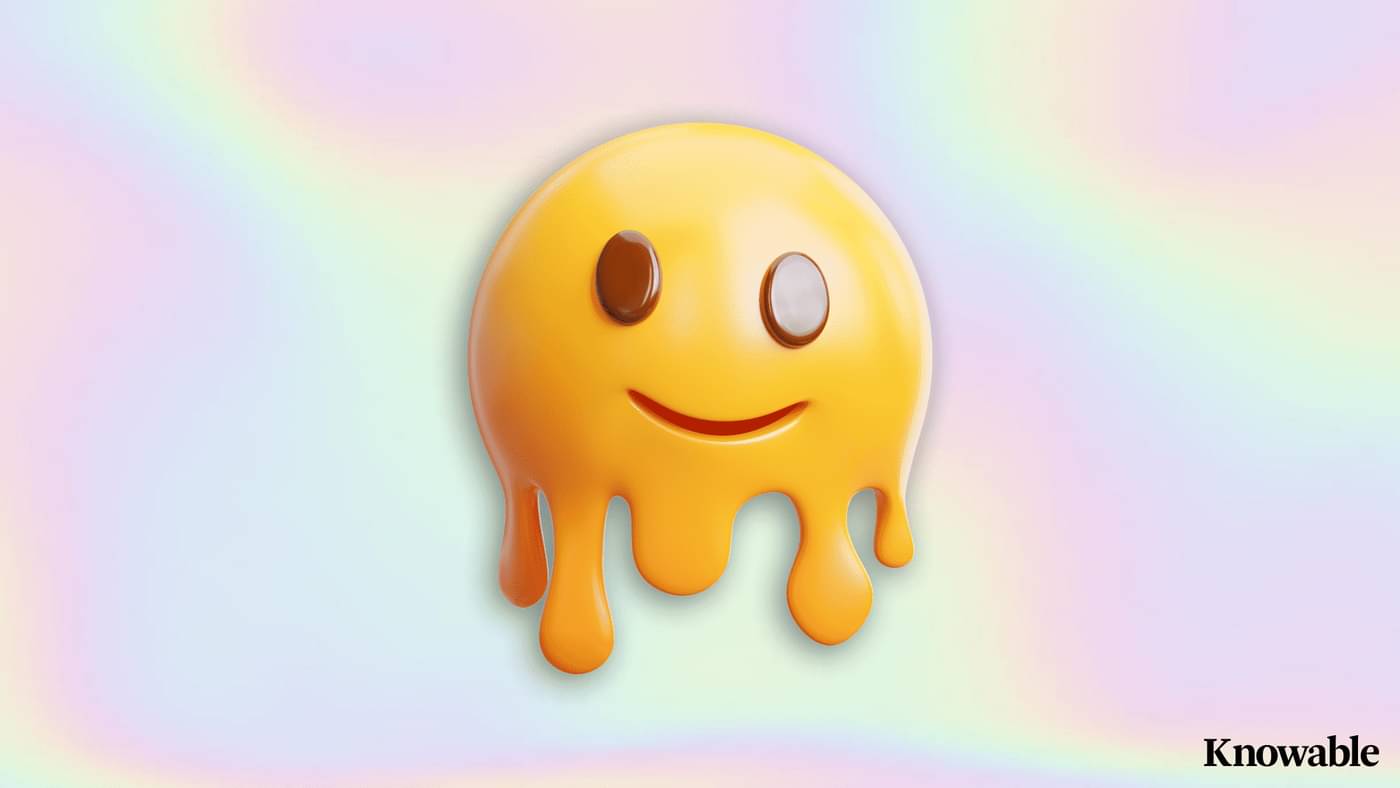 Why Everything Looks the Same