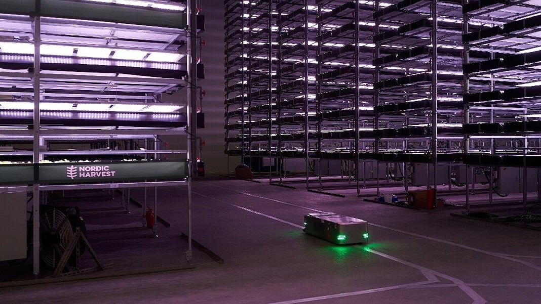 featured image for Europe’s Biggest Vertical Farm Will Be Powered by Wind and Planted by Robots