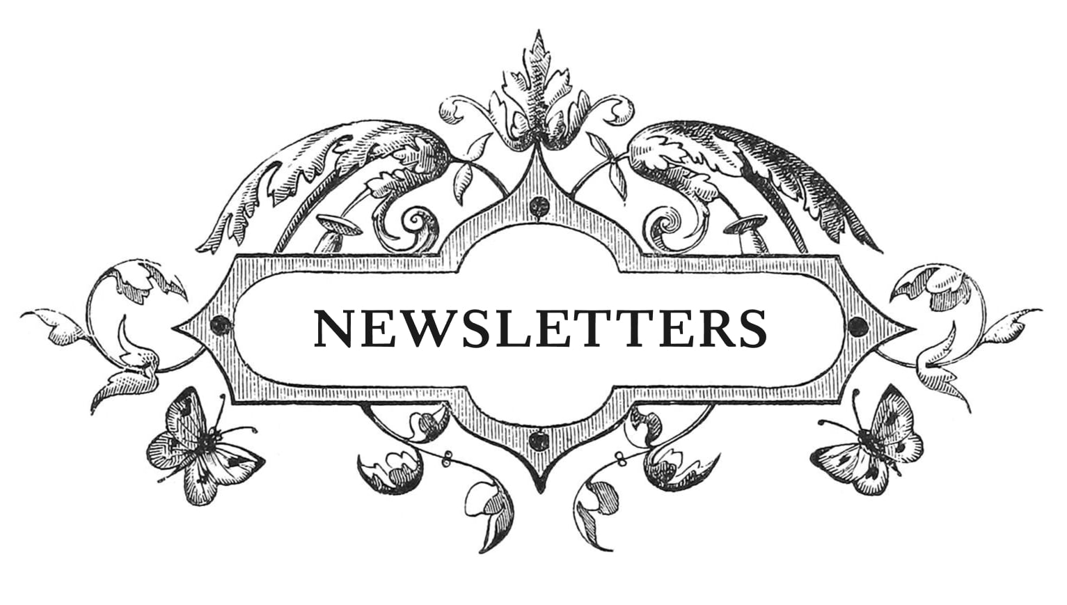 featured image for An Essay on Newsletters