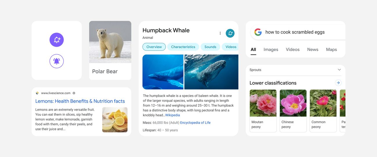 featured image for A Google designer takes us inside Search’s mobile redesign