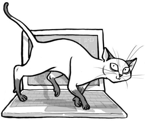 featured image for Programming for Cats – A book written specially for cats who want to program