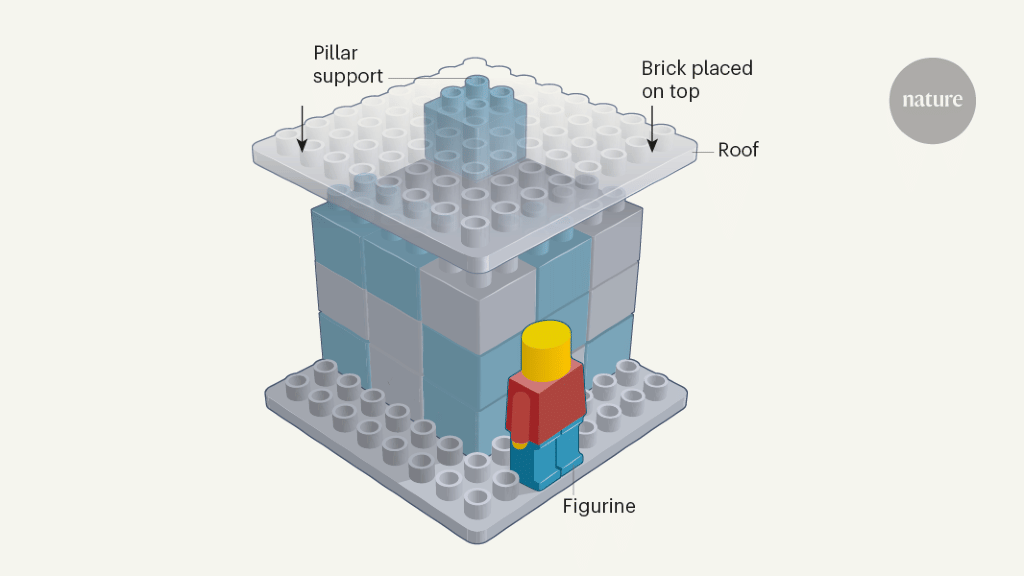featured image for Adding is favoured over subtracting in problem solving
